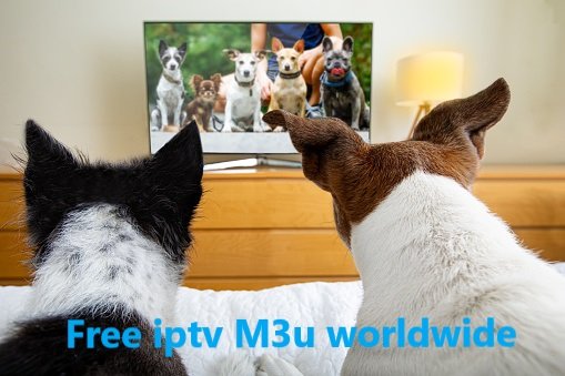 Free iptv m3u