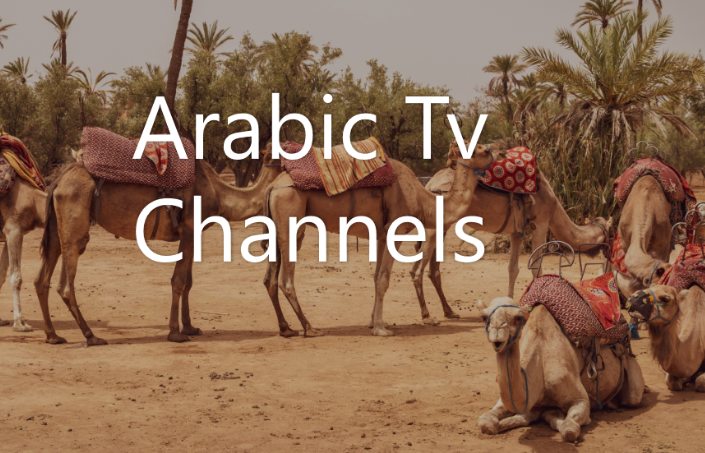Arabic tv channels are very popular in the Arab world and has a wide range of programming that includes dramas, comedy programs, news, variety shows, and entertainment. We have 100% arabic channels broadcasting to over 200 countries. In addition to these benefits, we offer you a chance to watch your favorite arabic tv shows online with no hassle!